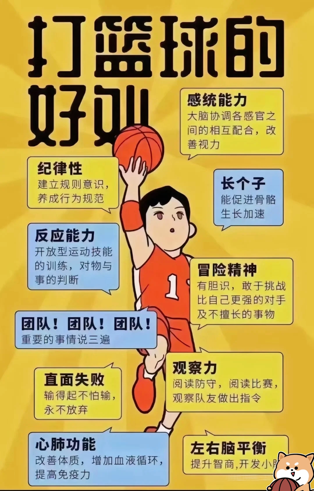 篮球训练营现出了年轻人才，未来可期的简单介绍
